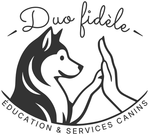 Logo Duo Fidèle